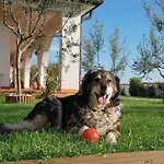 Emi Villa Zgornje Skofije