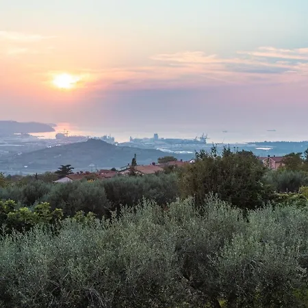 Emi * Zgornje Skofije