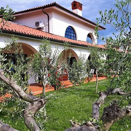 Emi Villa