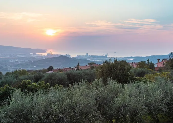 Emi * Zgornje Skofije