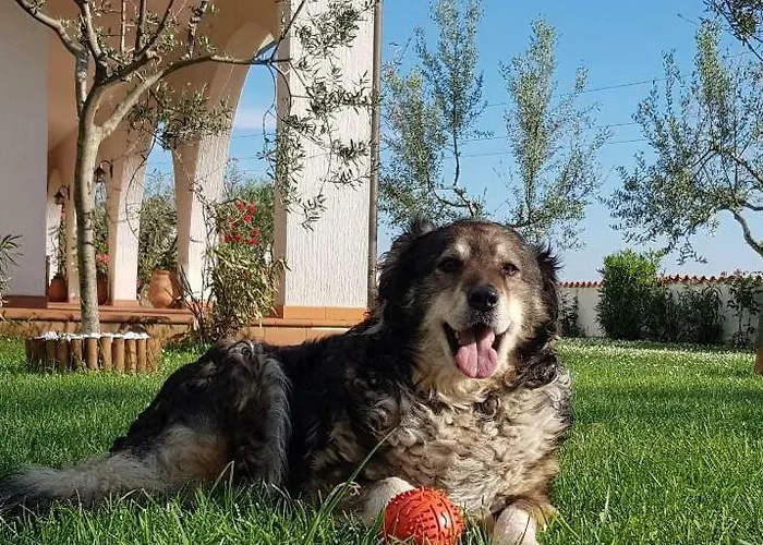 Emi Villa Zgornje Skofije